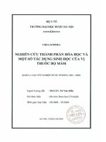 Nghiên cứu thành phần hóa học và một số tác dụng sinh học của vị thuốc bọ mắm