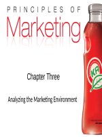 Analyzing the Marketing Environment (marketing)