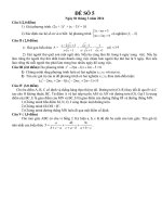 Đề luyện thi đại học môn Toán số 5