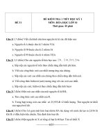 Đề kiểm tra 1 tiết HK 1 môn Hóa học 10 - Đề 31