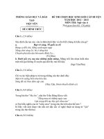 đề thi học sinh giỏi ngữ văn 6, đề tham khảo số 5