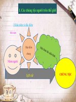 BÀI TẬP - Các chủng tộc người trên thế giới