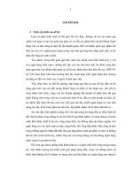 Chiến lược phát triển cho các ngân hàng thương mại cổ phần vừa và nhỏ tại thành phố Hồ Chí Minh