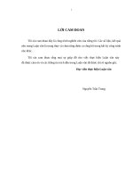 Phân tích kiểm kê chất thải công nghiệp và đánh giá rủi ro của chất thải ô nhiễm đến người lao động tại các nhà máy sản xuất giày Nike thuộc tp Biên Hòa, tỉnh Đồng Nai