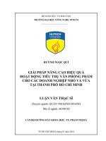 Giải pháp nâng cao hiệu quả hoạt động tiêu thụ văn phòng phẩm cho các doanh nghiệp nhỏ và vừa tại Tp.Hồ Chí Minh