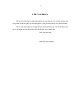 Ứng dụng hệ thống thông tin địa lý (GIS) vào quản lý hệ thống lưới điện quận Tân Phú