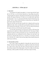 Cải tiến hiệu suất hoạt động chuỗi cung ứng của công ty Detmold Packaging Việt Nam