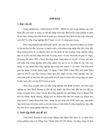 Hoàn thiện môi trường hoạt động của các doanh nghiệp tại khu công nghiệp Mỹ Phước tỉnh Bình Dương đến năm 2020