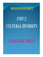Bài giảng tiếng anh 12 unit 2 cultural diversity