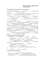 ĐỀ ÔN THI TỐT NGHIỆP THPT MÔN ANH SỐ  11