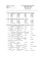 đề thi hsg tiếng anh 6,đề số 10