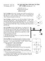 ĐỀ THI CHỌN HSG TỈNH BR VT NĂM HỌC 2010 -2011 môn vật lý