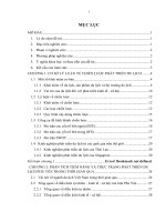 Định hướng chiến lược phát triển du lịch cho tỉnh Phú Yên đến năm 2020