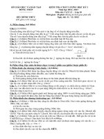 Đề thi HKI môn Vật lý 10