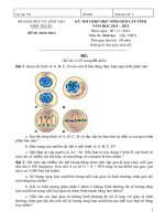 Đề thi học sinh giỏi bậc THCS tỉnh Ninh Thuận năm 2014 - 2015 môn sinh