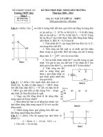 Đề thi HSG trường THPT Quỳ Hợp 2 - Lần I - 2010 môn vật lý