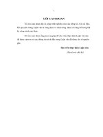 Tổ chức hệ thống kế toán trách nhiệm trong doanh nghiệp thương mại ở Việt Nam