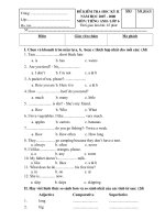Đề tiếng anh 7 - sưu tầm đề kiểm tra, thi học sinh giỏi tham khảo bồi dưỡng (26)