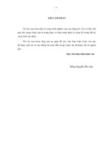 Một số giải pháp quản trị rủi ro trong thực hiện dự án ODA tại ban Giao thông-đô thị TP.HCM