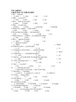 đề thi ôn tập tiếng Anh lớp 6