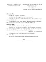 ĐỀ KIỂM TRA CHẤT LƯỢNG THÁNG 03 văn 6