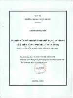 Nghiên cứu đánh giá sinh khả dụng in vitro của viên nang azitthromycin 250mg