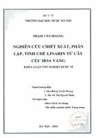 Nghiên cứu chiết xuất, phân lập tinh chế linarin từ cây cúc hoa vàng