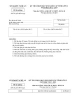 Đề thi học sinh giỏi Tiếng Anh lớp 12 số 2