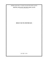 Báo cáo tự đánh giá tại TRƯỜNG mầm NON THỊ TRẤN PHÚ XUYÊN