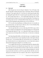 “Xác định type và nồng độ virus gây viêm gan C bằng kỹ thuật Realtime RTPCR trên BN viêm gan virus C tại Bệnh viện đa khoa Trung ương Cần Thơ”