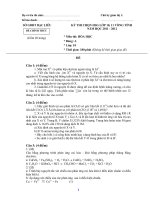 Đề thi học sinh giói cấp tỉnh lớp 10 môn Hóa bảng A