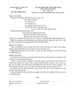 Đề thi học sinh giỏi lớp 9 năm 2011 Môn Ngữ văn