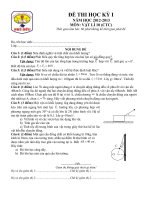 Đề và đáp án thi học kì 1 môn Vật lí 10