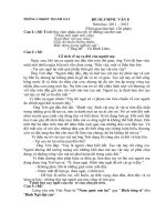 Đề văn lớp 8 - sưu tầm đề kiểm tra, thi học sinh giỏi văn 8 tham khảo bồi dưỡng (23)