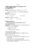 đề ôn toán 11 hk2, đề 2