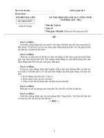 Đề thi học sinh giói cấp tỉnh lớp 10 môn Lịch sử