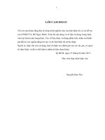 Phân tích môi trường đầu tư nước ngoài trong lĩnh vực kinh doanh bất động sản