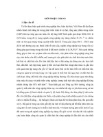 Nghiên cứu hoàn thiện hệ thống quản lý chất thải rắn công nghiệp tỉnh Bình Dương