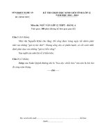 Đề thi học sinh giỏi Ngữ văn lớp 12 chọn lọc số 14