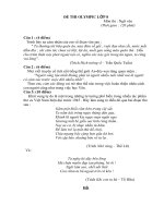 Đề văn lớp 8 - sưu tầm đề kiểm tra, thi học sinh giỏi văn 8 tham khảo bồi dưỡng (30)