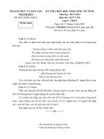 ĐỀ thi học sinh giỏi chính thức năm 2014 môn văn đề (2)