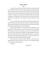 Giải pháp Marketing-mix nâng cao hiệu quả hoạt động kinh doanh tại Công ty TNHH Bảo Huy