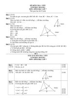 Đề kiểm tra 1 tiết môn Hình học lớp 7 số 22