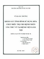 Khảo sát tình hình sử dụng hoá chất điều trị cho bệnh nhân ung thư vú tại bệnh viện k hà nội