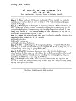 đề thi chọn hsg cấp tỉnh lớp 9 môn vật lý, đề 6