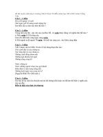 Đề thi văn lớp 6 (2)