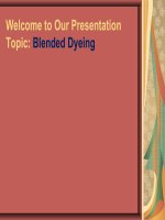 Blended Dyeing - Types of Blends