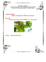 báo cáo môn thực hành phát triển sản phẩm đề tài nước giải khát hoa thiên lý mật ong