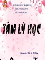 Thuyết trình tâm lý học nhân cách Khí chất nóng nảy