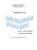 Bài báo cáo giải phẫu sinh lý đường hô hấp liên quan đến gây mê hồi sức